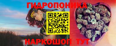 мяу мяу мука Апшеронск