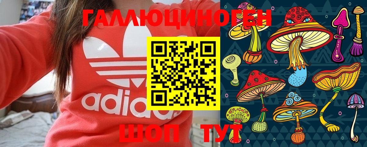 Галлюциногенные грибы GOLDEN TEACHER  Псилоцибиновые грибы MAGIC MUSHROOMS  Бахчисарай  Вход с VPN 